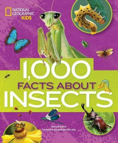 AmScope 1000 Facts About Insects by National Geographic Kids