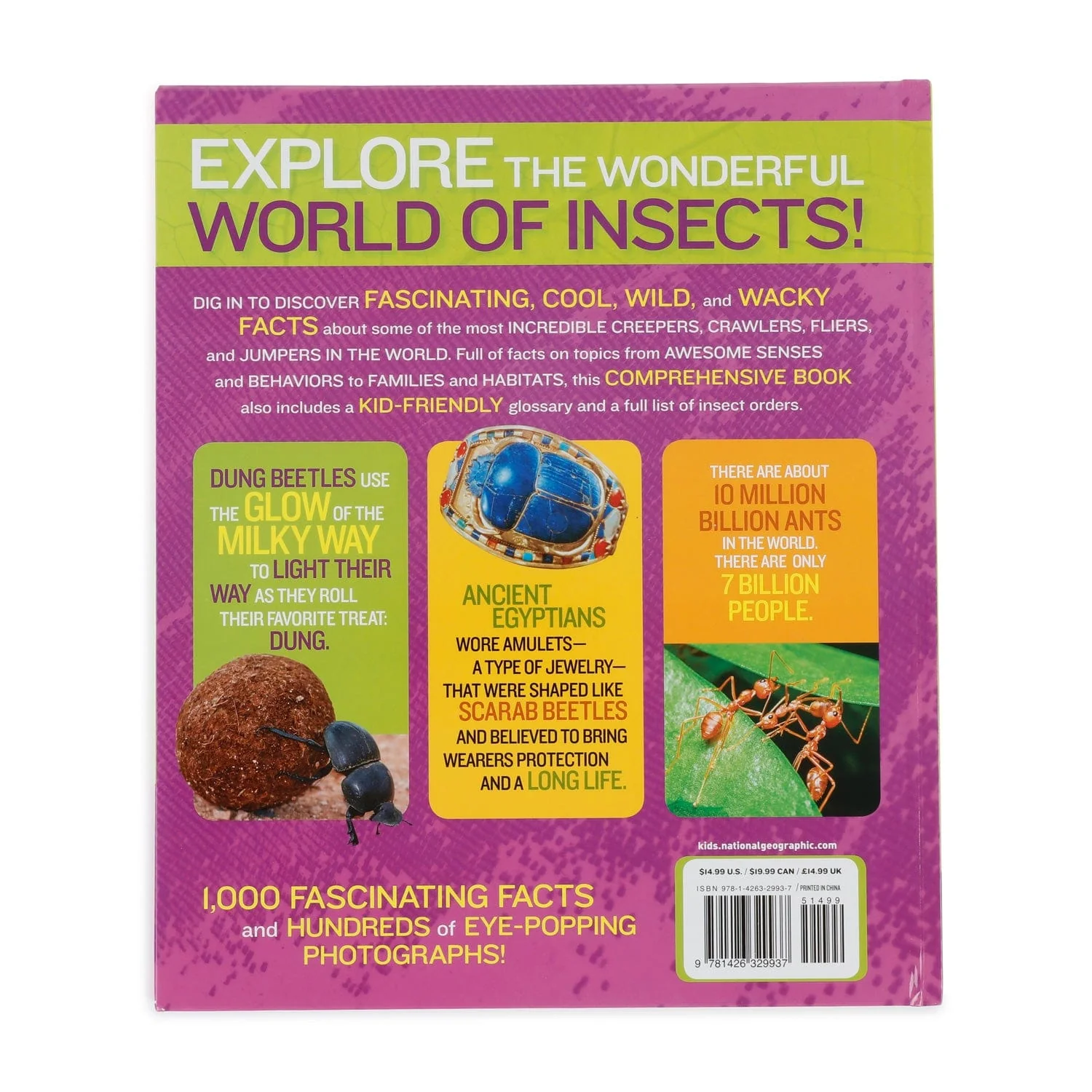 AmScope 1000 Facts About Insects by National Geographic Kids - Image 2