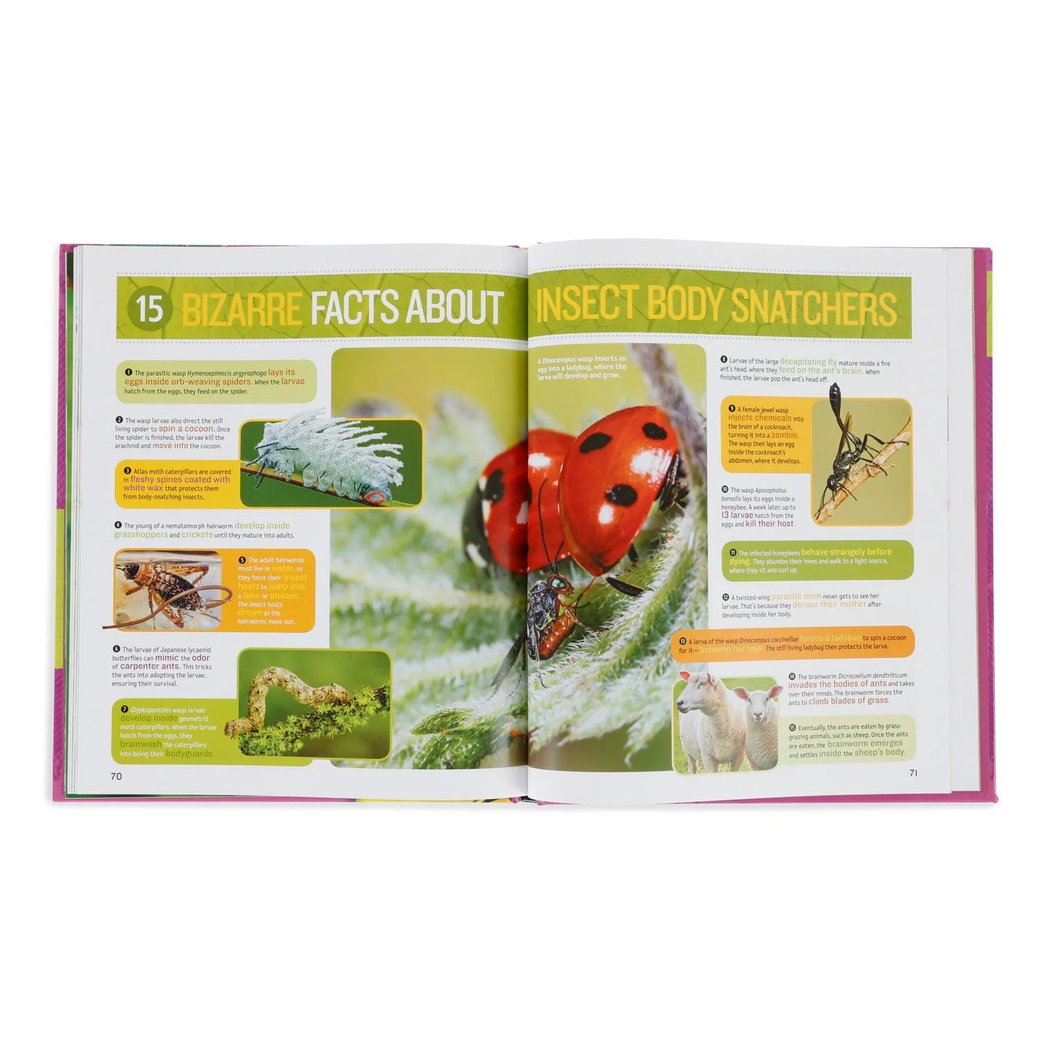 AmScope 1000 Facts About Insects by National Geographic Kids - Image 3