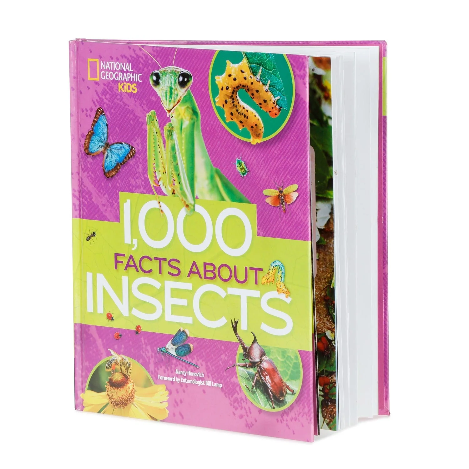 AmScope 1000 Facts About Insects by National Geographic Kids - Image 5
