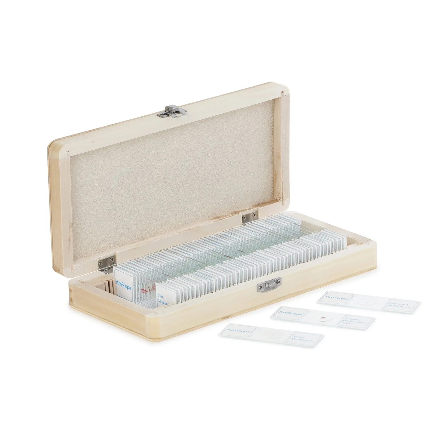 AmScope 50pc Prepared Glass Microscope Botany Slide Specimens with Wooden Case - Image 3