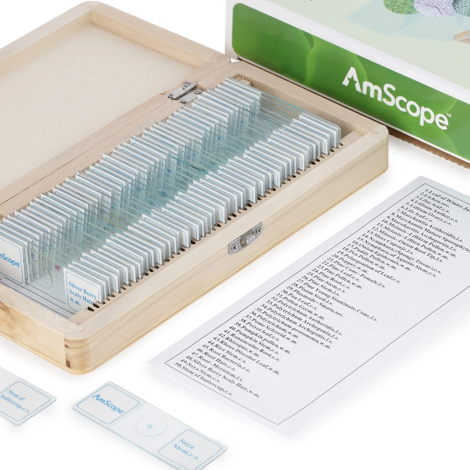 AmScope 50pc Prepared Glass Microscope Botany Slide Specimens with Wooden Case - Image 5