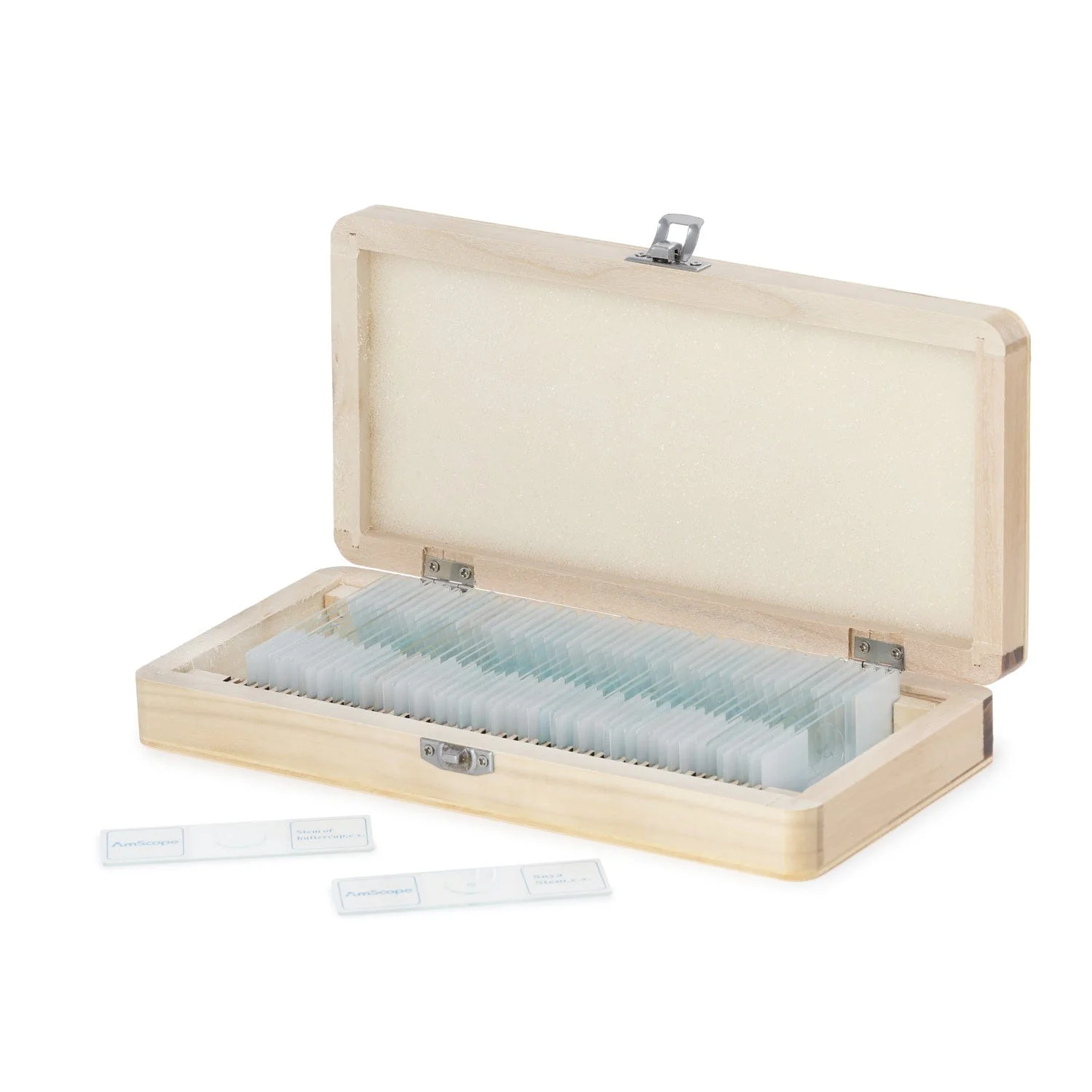 AmScope 50pc Prepared Glass Microscope Botany Slide Specimens with Wooden Case - Image 6