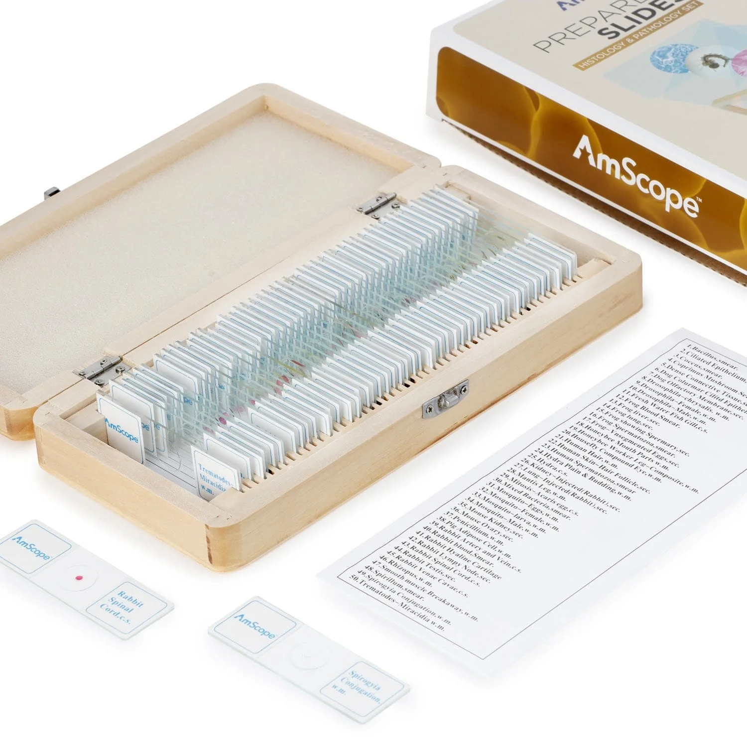 AmScope 50pc Prepared Glass Microscope Histology & Pathology Slide Specimens with Wooden Case - Image 2