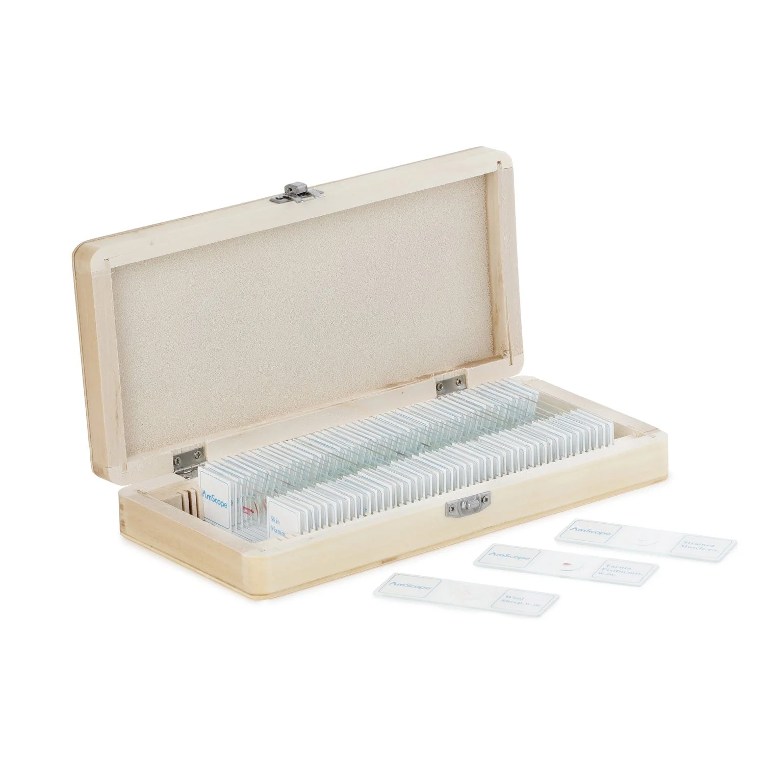 AmScope 50pc Prepared Glass Microscope Histology & Pathology Slide Specimens with Wooden Case - Image 3