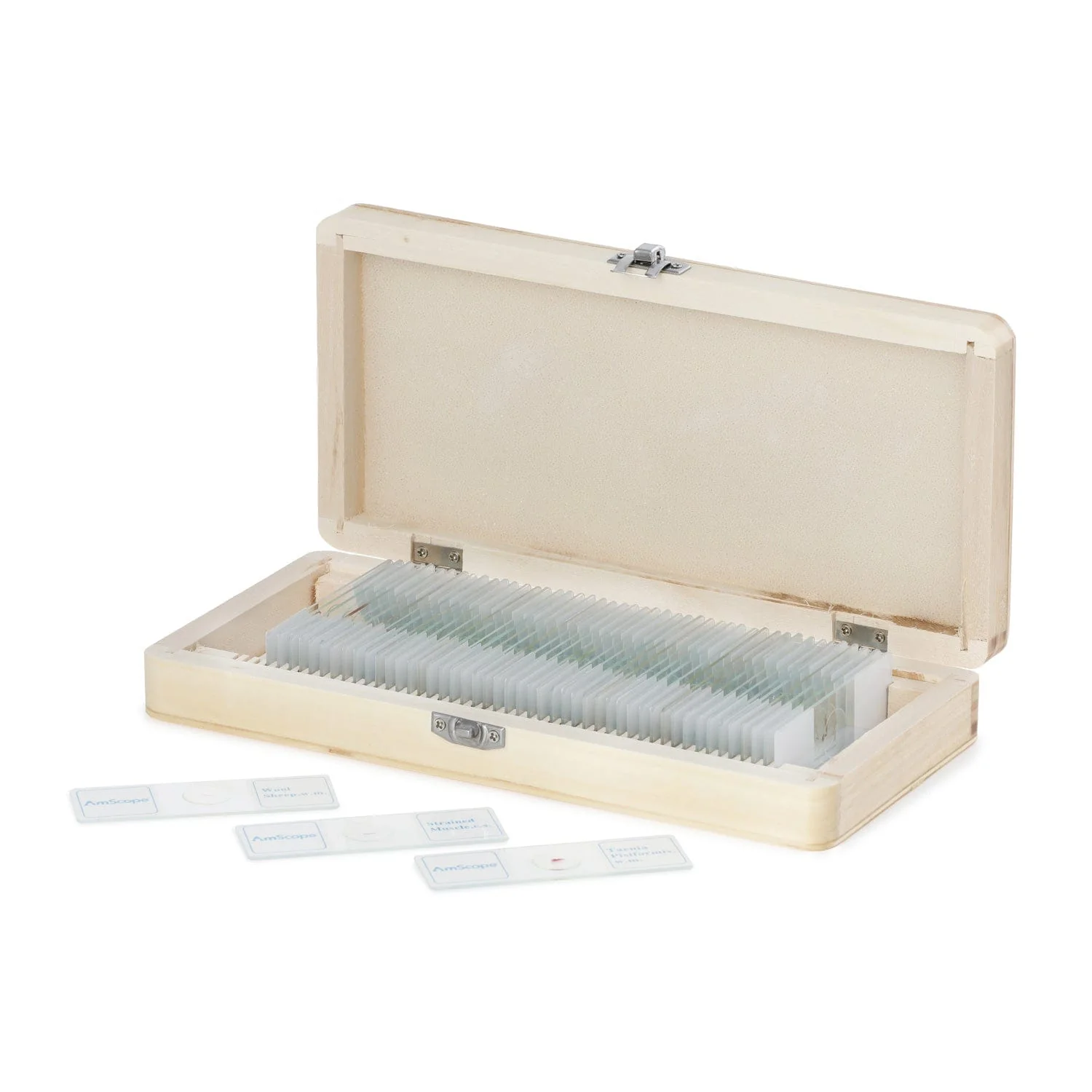 AmScope 50pc Prepared Glass Microscope Histology & Pathology Slide Specimens with Wooden Case - Image 5