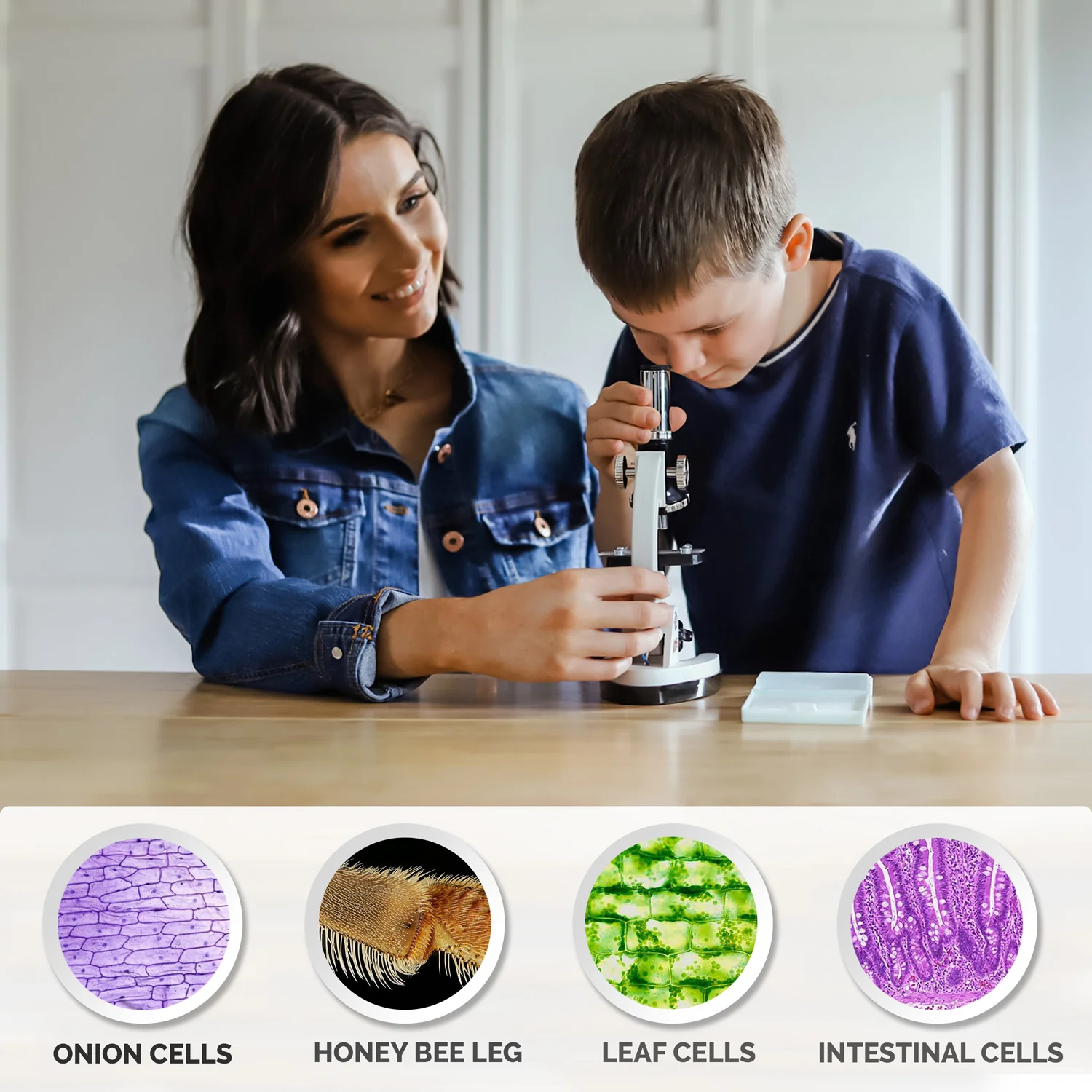 Amscope M30-ABS-KT2-W Monocular Compound Microscope for Kids – Up to 1200X LED Illumination STEM Education Microscopes, Student Lab Microscopes, Biological Science Microscopes - Image 6