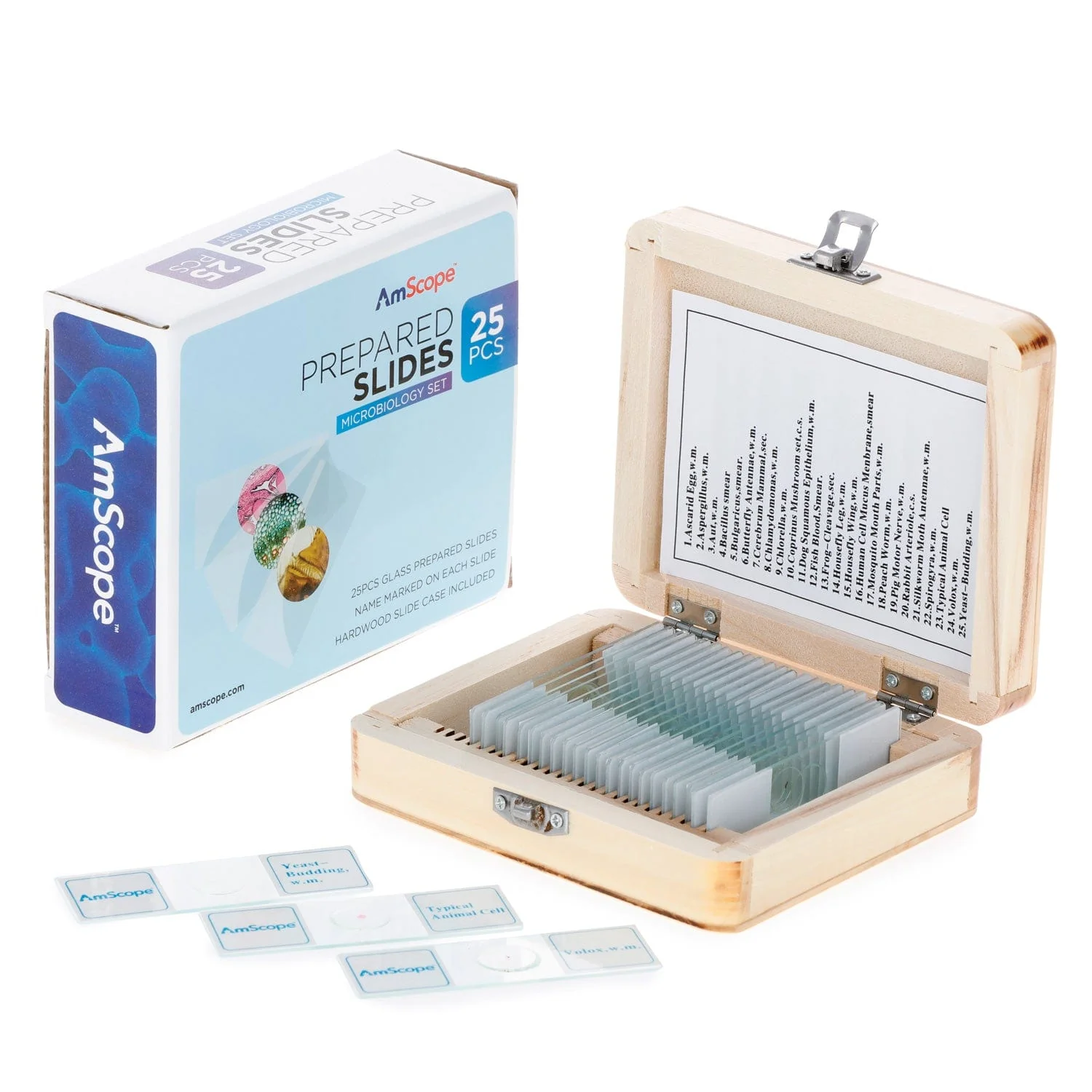 AmScope 25pc Prepared Glass Microscope Microbiology Slide Specimens with Wooden Case