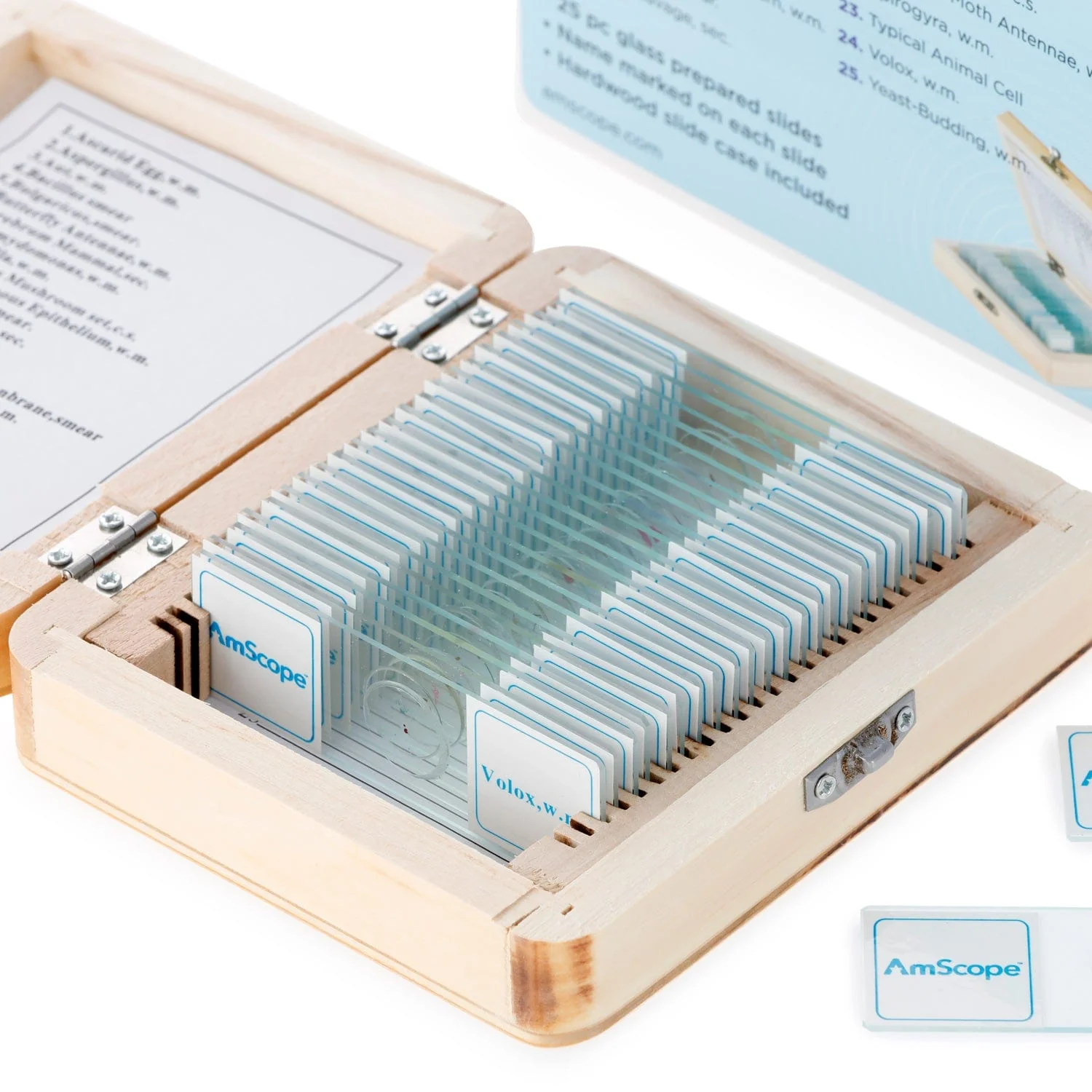AmScope 25pc Prepared Glass Microscope Microbiology Slide Specimens with Wooden Case - Image 2