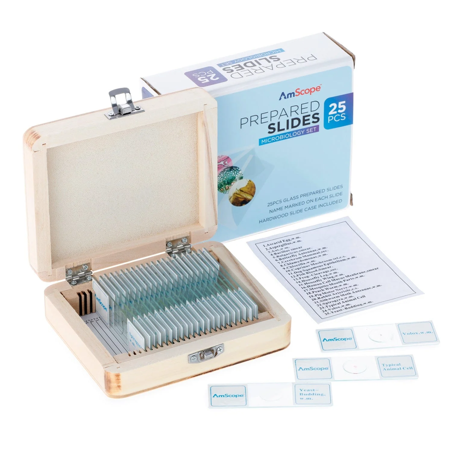 AmScope 25pc Prepared Glass Microscope Microbiology Slide Specimens with Wooden Case - Image 3