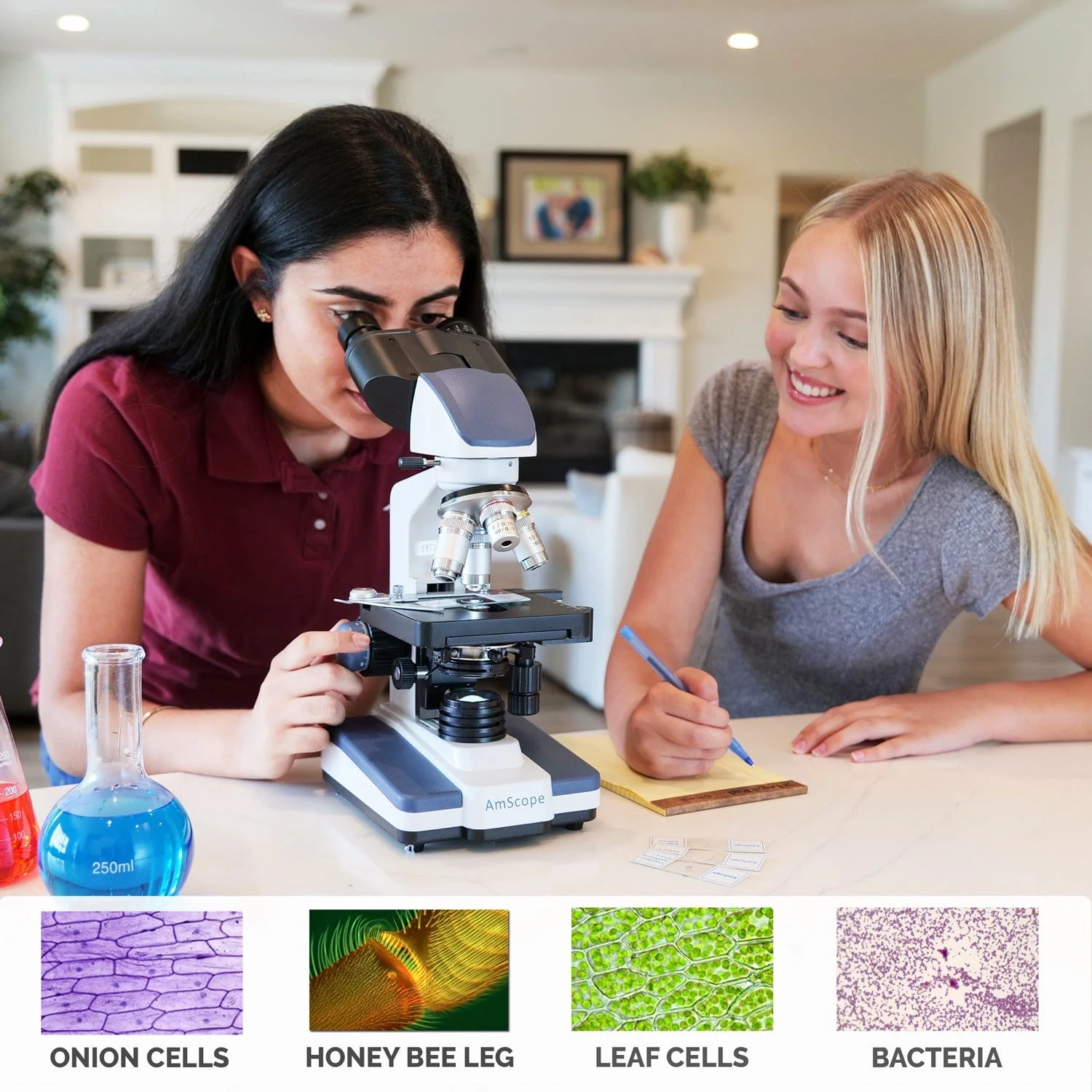AmScope B120 Series Binocular Compound Microscope 40X-1000X Magnification with LED, Siedentopf Head, Double Layer Mechanical Stage and Book - Image 3