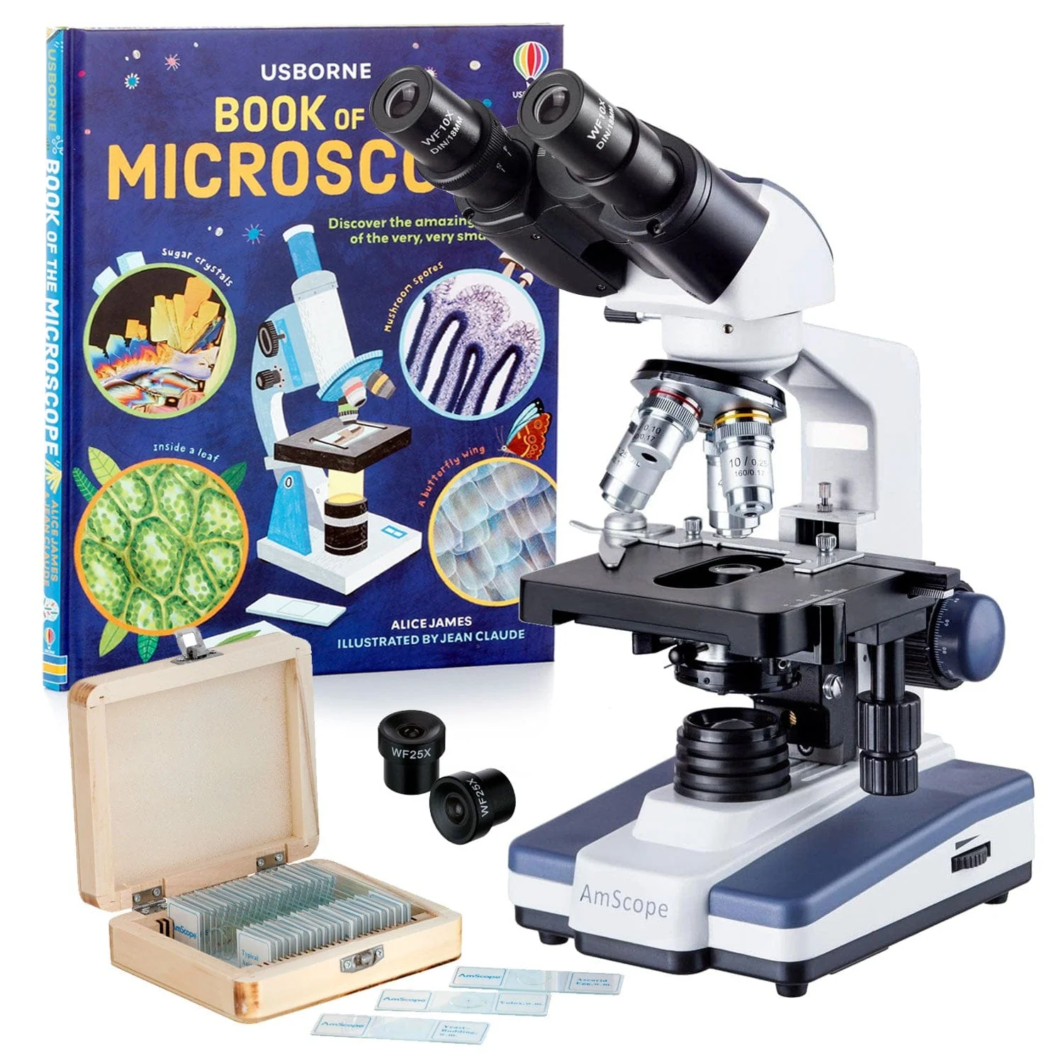 AmScope B120 Series Binocular Compound Microscope 40X-1000X Magnification with LED, Siedentopf Head, Double Layer Mechanical Stage and Book - Image 5