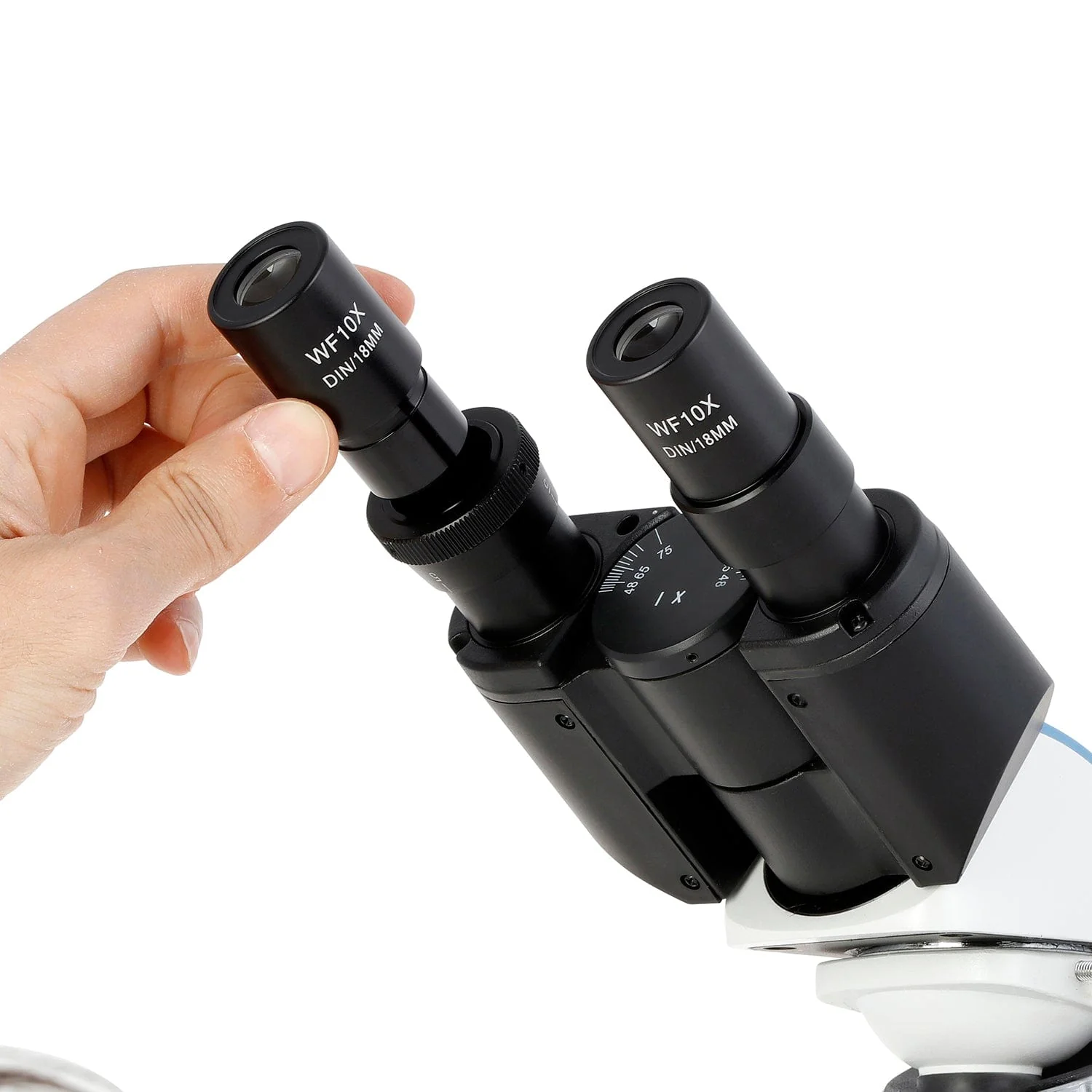 AmScope B250 Series Compact Student and Professional LED Siedentopf Binocular Compound Microscope 40X-2500X Magnification with 3D Mechanical Stage - Image 9