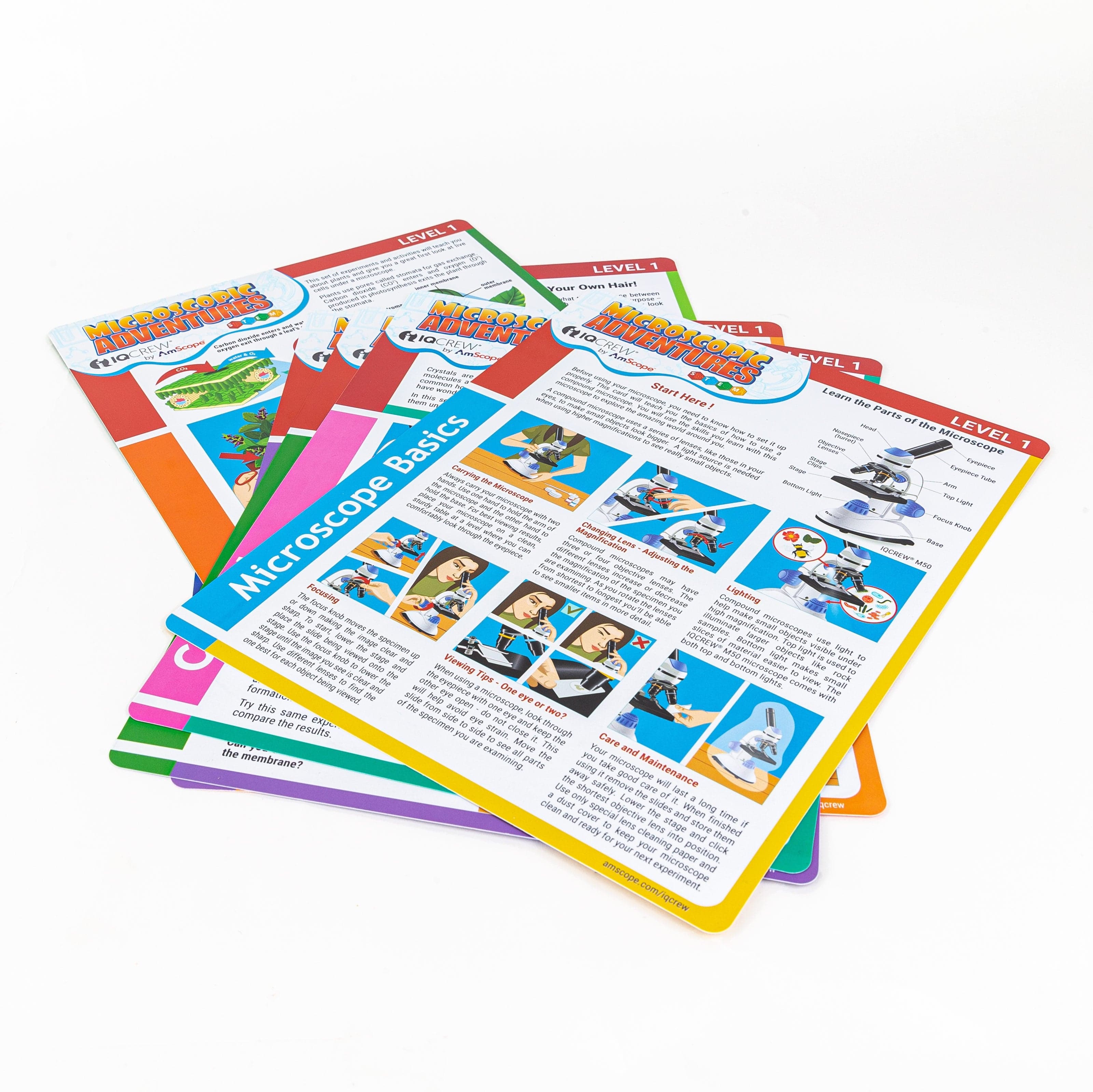 AmScope Compound Microscope Experiment Cards for Kids Fun and Educational Microscope Experiments (Level 1) - Image 3