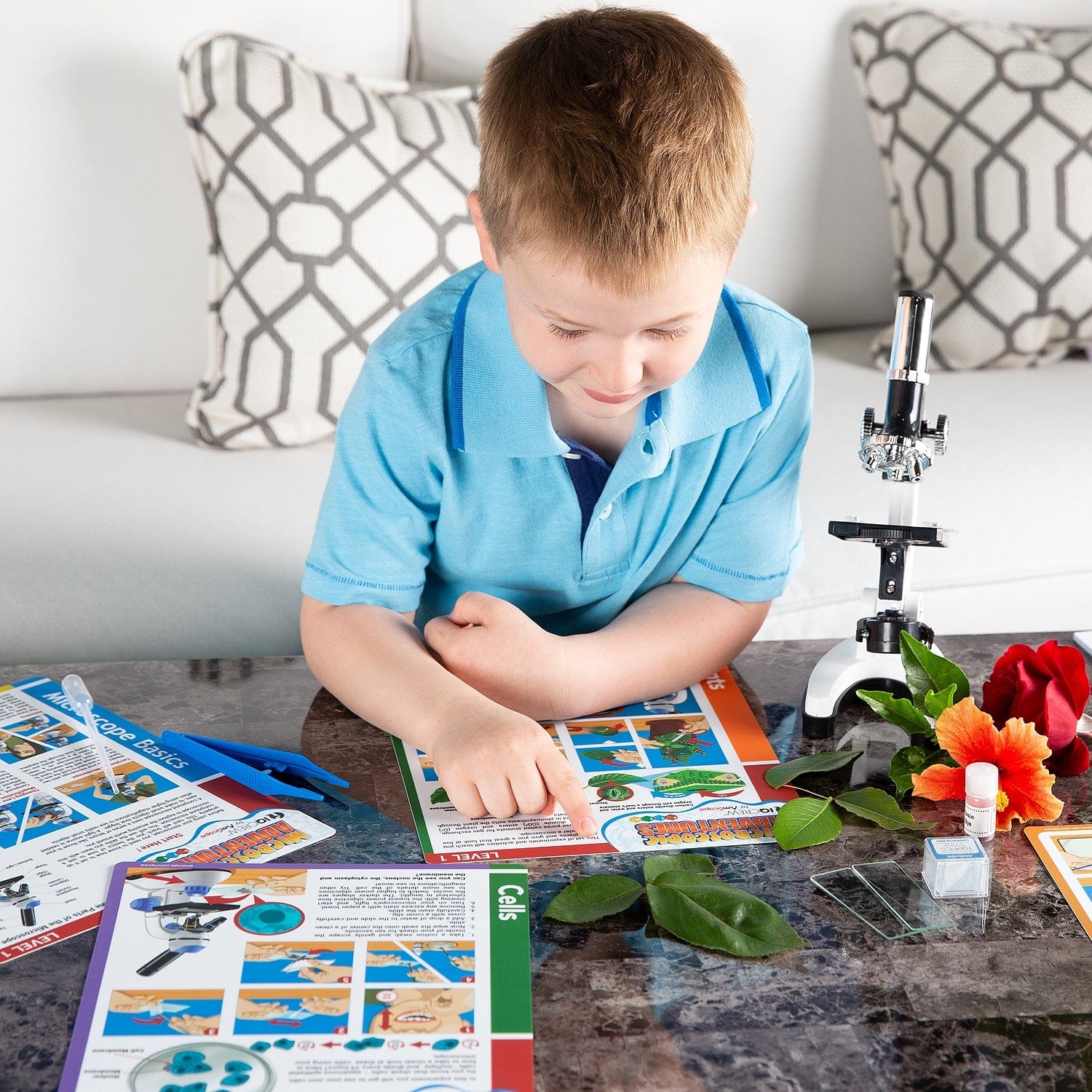 AmScope Compound Microscope Experiment Cards for Kids Fun and Educational Microscope Experiments (Level 1) - Image 4