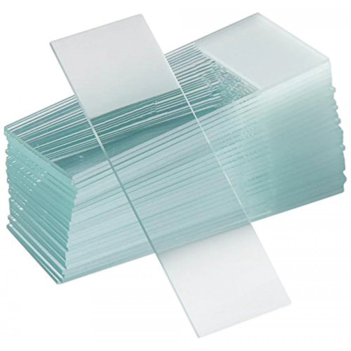 AmScope Frosted Clear Glass Ground Edge Microscope Slides, Pack of 50 - Image 2