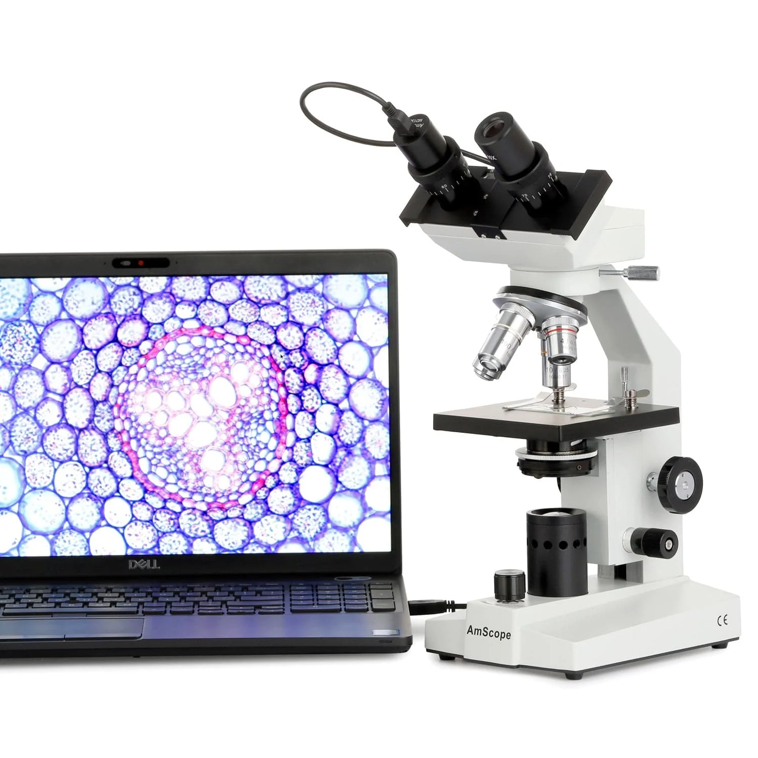 AmScope B100 Series Biological Binocular Compound Microscope With LED and Optional Digital Camera - Image 5
