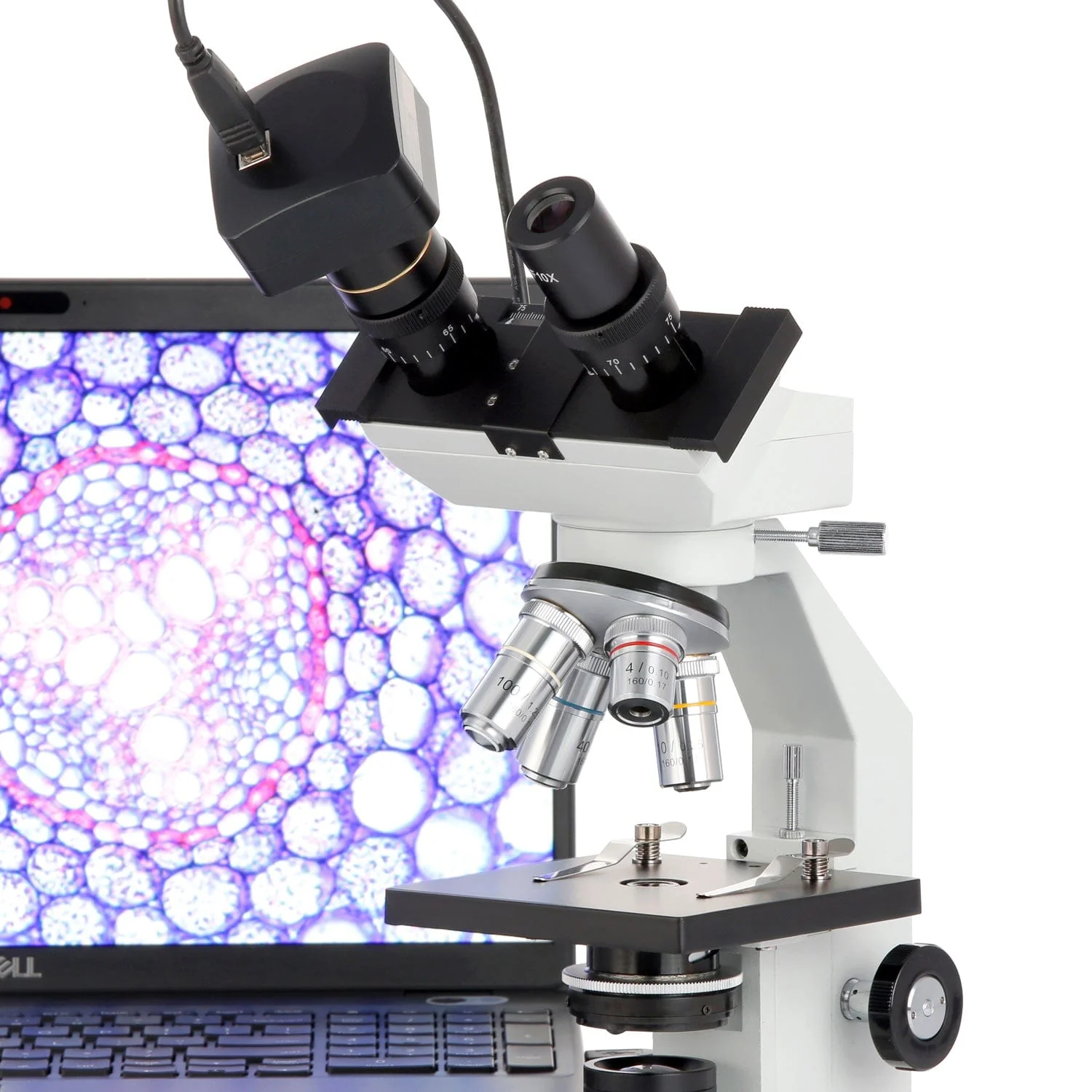 AmScope B100 Series Biological Binocular Compound Microscope With LED and Optional Digital Camera - Image 8