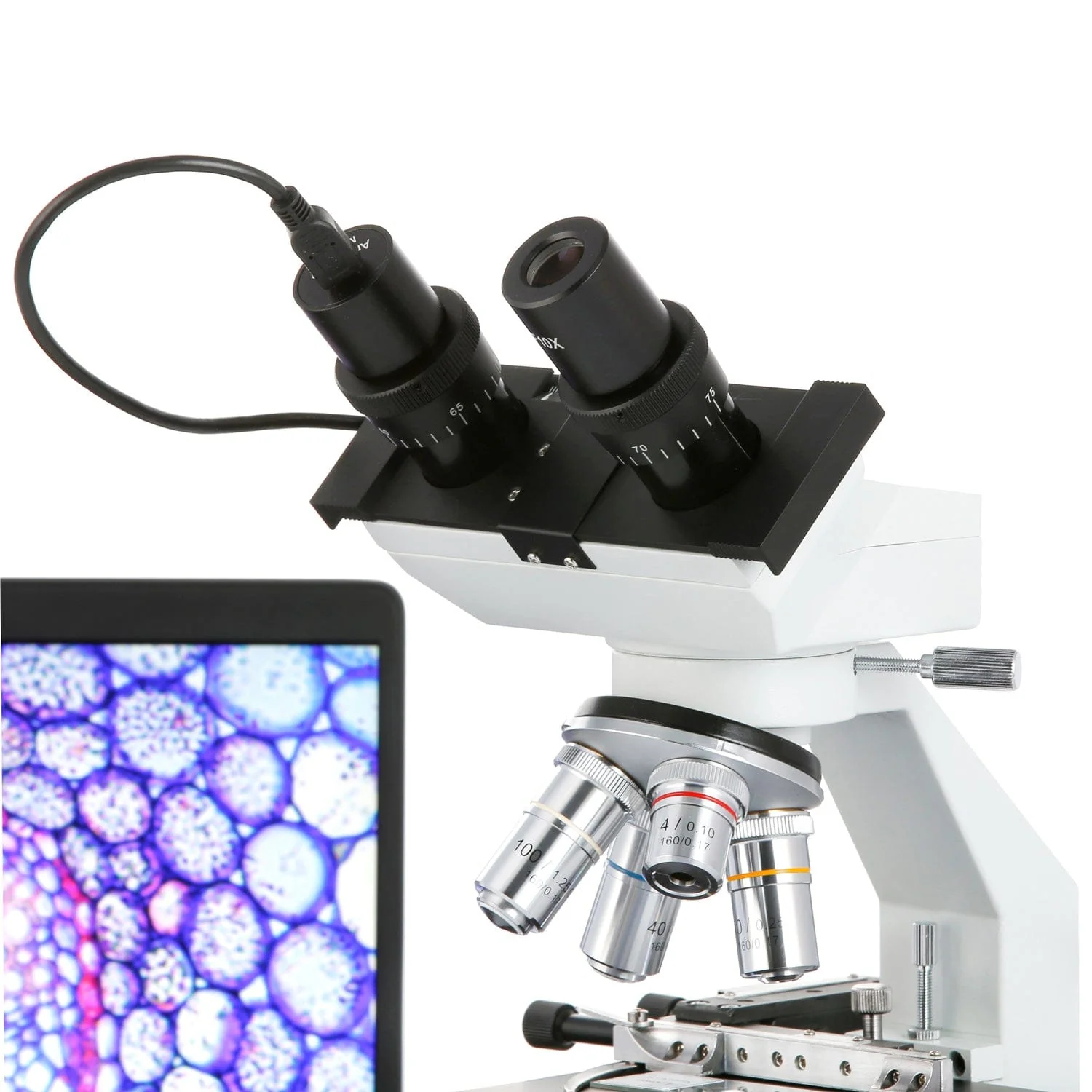 AmScope B100 Series Binocular Compound Microscope with LED Light, Mechanical Stage, Slide Set and Optional Digital Camera - Image 3