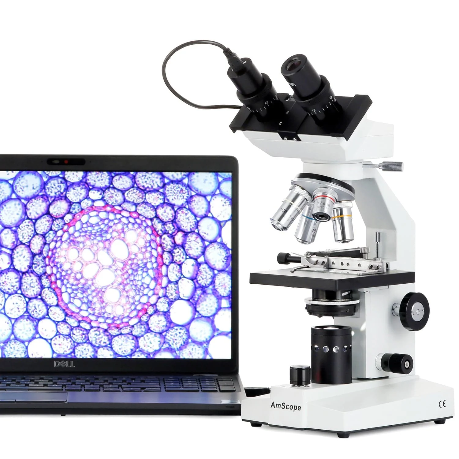 AmScope B100 Series Binocular Compound Microscope with LED Light, Mechanical Stage, Slide Set and Optional Digital Camera - Image 4