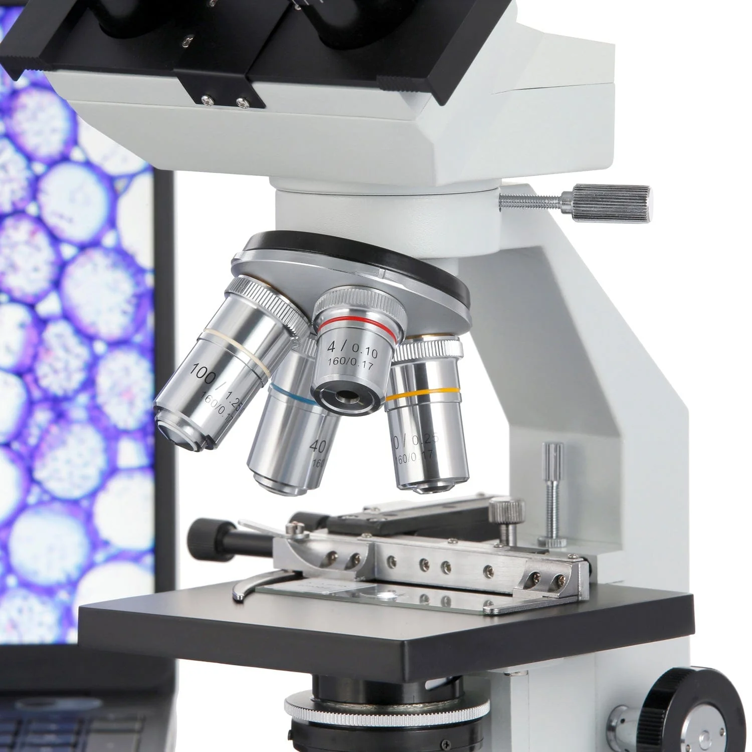 AmScope B100 Series Binocular Compound Microscope with LED Light, Mechanical Stage, Slide Set and Optional Digital Camera - Image 6