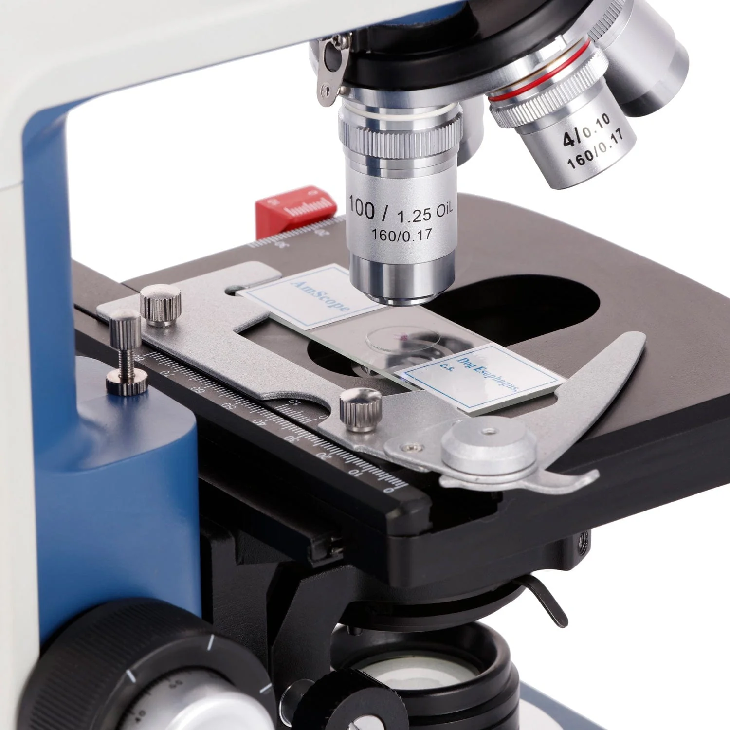 AmScope B120C-R Series USB-C Rechargeable Student Binocular Compound Microscope 40X-2500X Magnification with 3D Two-Layer Mechanical Stage, Achromatic Objectives, & LED illuminator + Optional Camera - Image 5