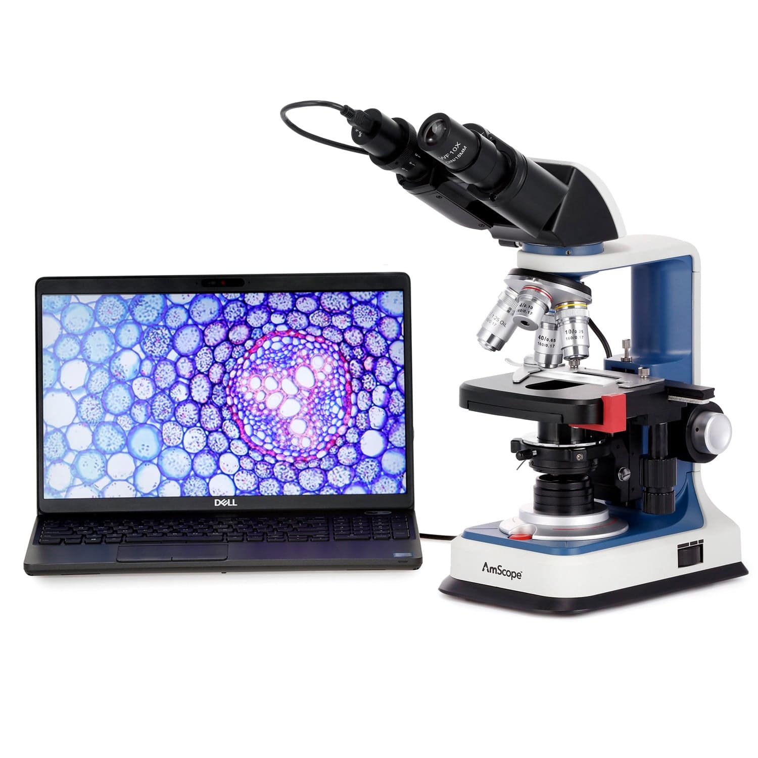 AmScope B120C-R Series USB-C Rechargeable Student Binocular Compound Microscope 40X-2500X Magnification with 3D Two-Layer Mechanical Stage, Achromatic Objectives, & LED illuminator + Optional Camera - Image 7