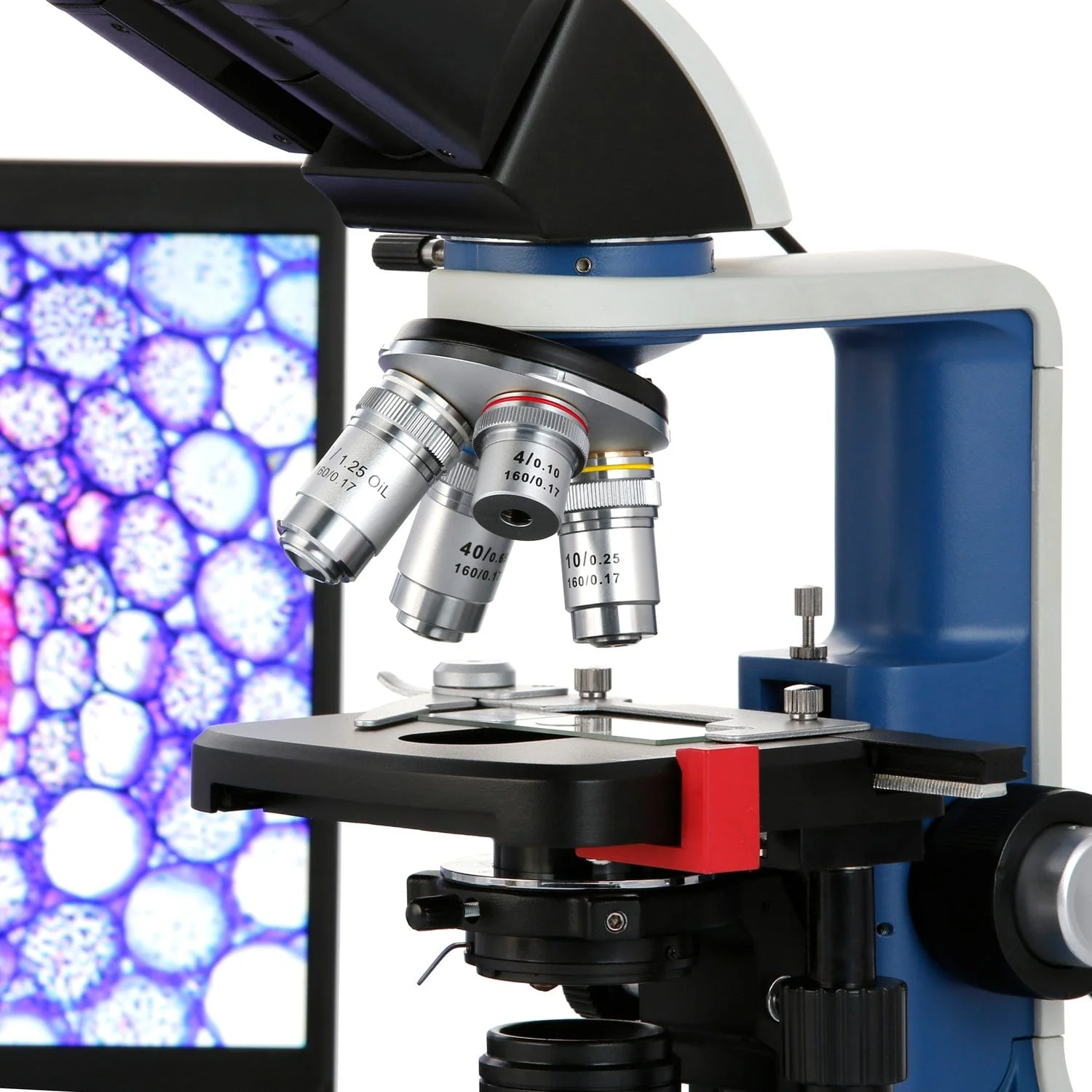 AmScope Binocular Compound Microscope 40X-2500X Magnification , Rechargeable & Portable, Student & Professional w/ LED, 3D Stage + Wi-Fi 2.0MP Digital Eyepiece Camera - Image 5