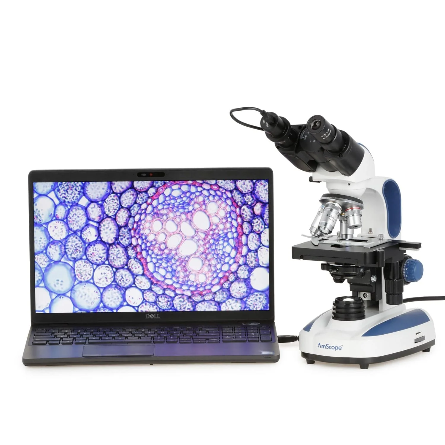 AmScope B270 Series Advanced Student & Professional Binocular Compound Microscope w/ Ergonomic Design, Microbe Resistant Coating, Optional Digital Camera, one set of 50 pack blank slides, 100 pack cover slips and 25 transfer pipettes - Image 13