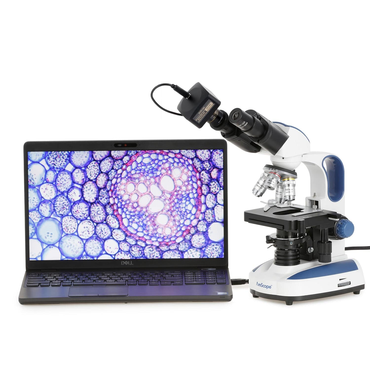 AmScope B270 Series Advanced Student & Professional Binocular Compound Microscope w/ Ergonomic Design, Microbe Resistant Coating, Optional Digital Camera, one set of 50 pack blank slides, 100 pack cover slips and 25 transfer pipettes - Image 15