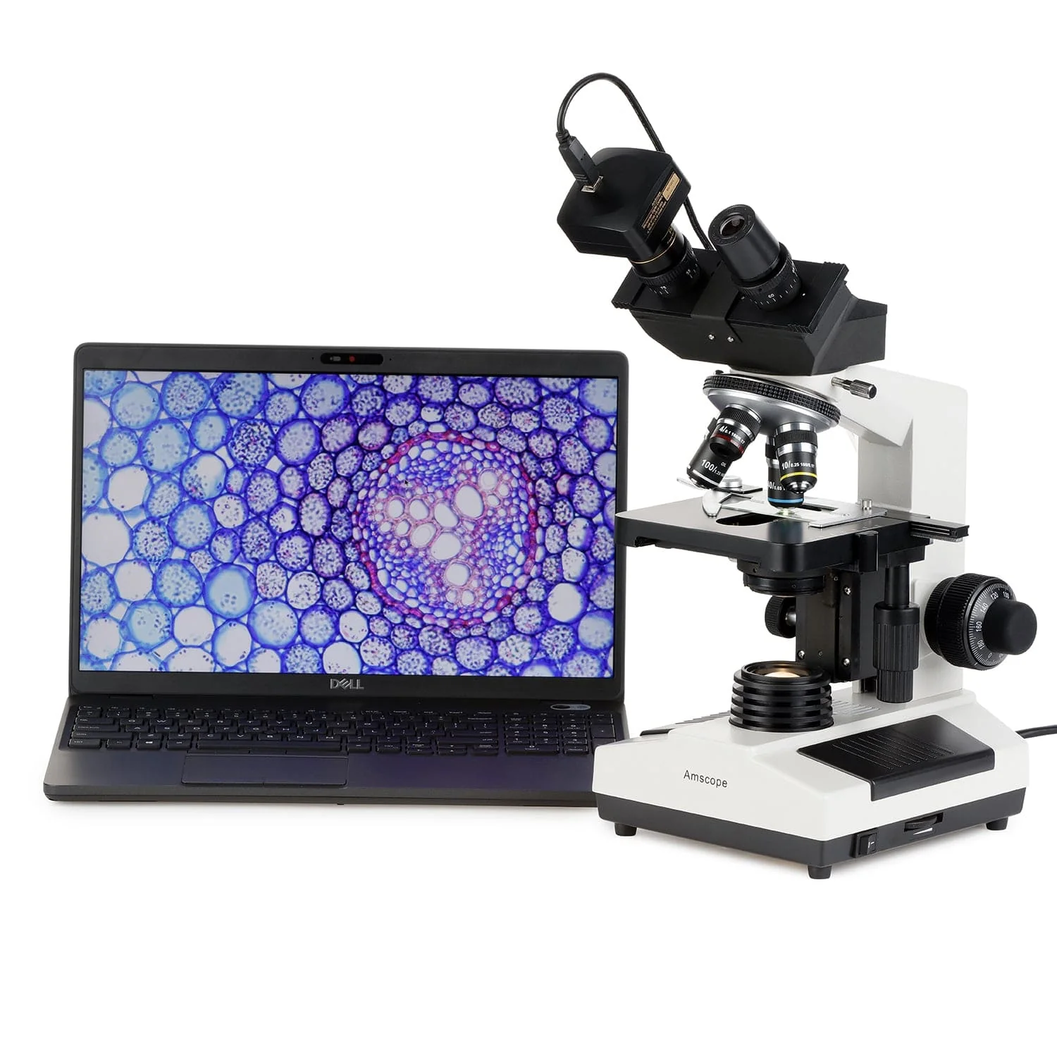 AmScope B390 Series Darkfield Binocular Compound Microscope with 20W Halogen, Oil Condenser and Optional Digital Camera - Image 6