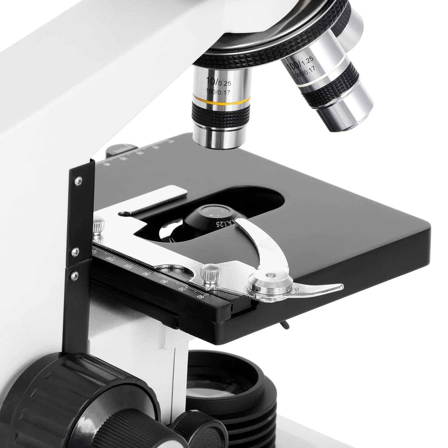 AmScope B490 Series Professional LED Biological Binocular Compound Microscope w/3D Mechanical Stage and Optional Digital Camera - Image 12