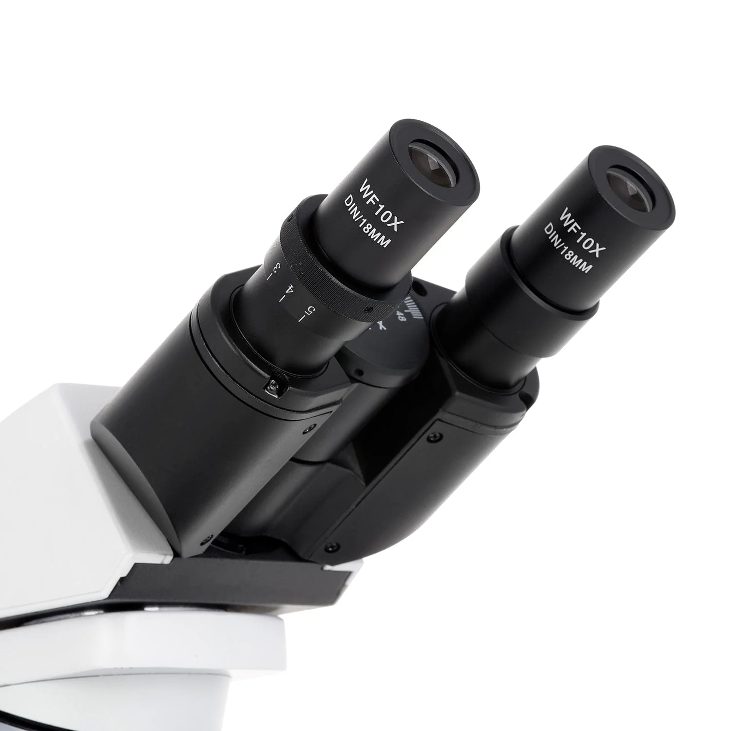 AmScope B530 Series Binocular Compound Microscope with 20W Halogen Kohler Illumination, 3D Mechanical Stage and Optional Digital Camera - Image 11