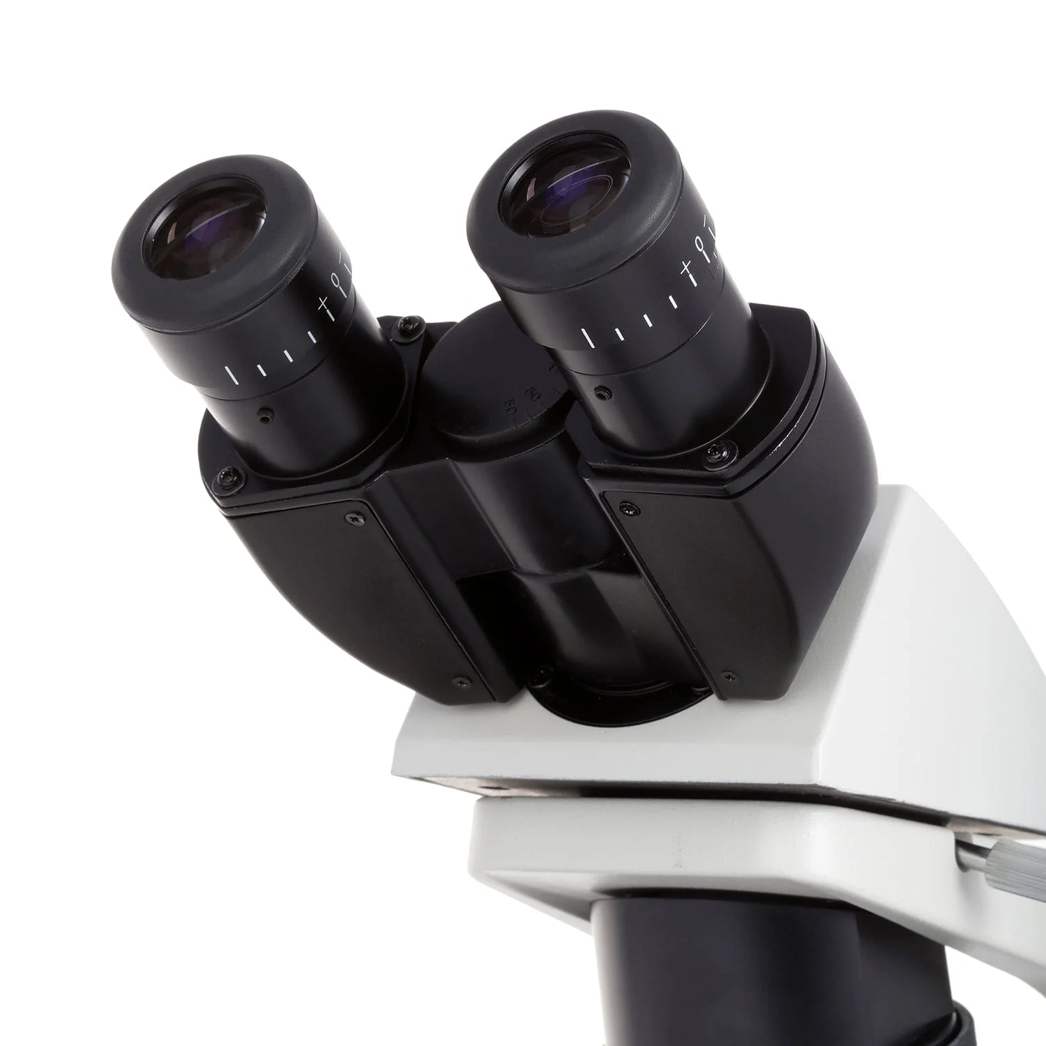AmScope Outlet B650 Series Infinity-Corrected Plan Biological Binocular Compound Microscope with 20W Halogen, 3D Mechanical Stage and Optional Digital Camera - Image 12