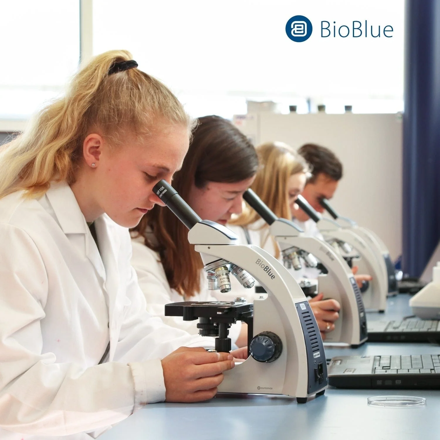 Euromex BioBlue Series Portable Monocular Compound Microscope with Mechanical X-Y Stage - Image 7