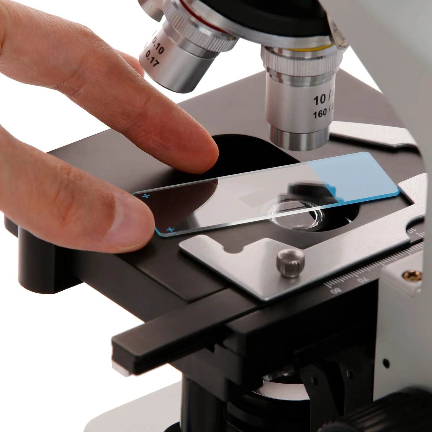 AmScope 50pc Blank Silane Slides with Single Frosted, Blue-Coated Side - Image 3
