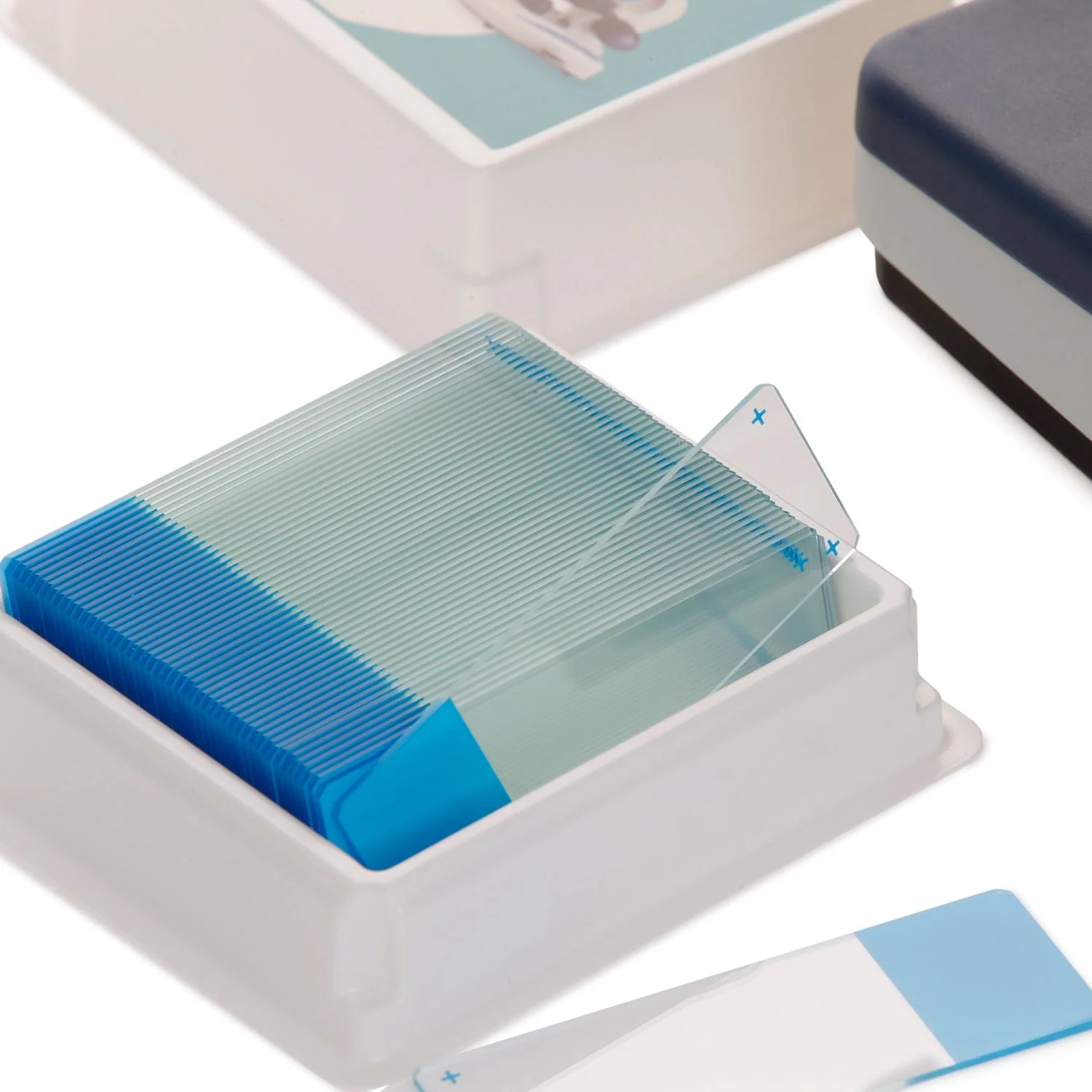 AmScope 50pc Blank Silane Slides with Single Frosted, Blue-Coated Side - Image 4