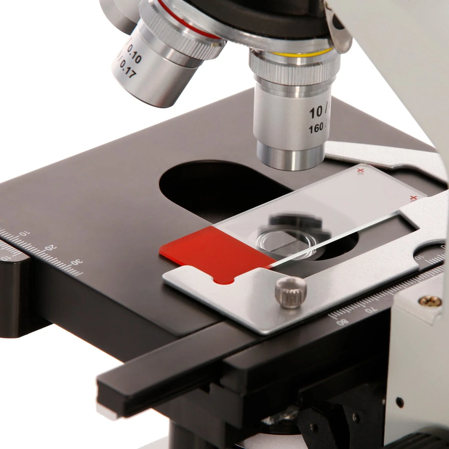 AmScope 50pc Blank Silane Slides with Single Frosted, Red-Coated Side - Image 3