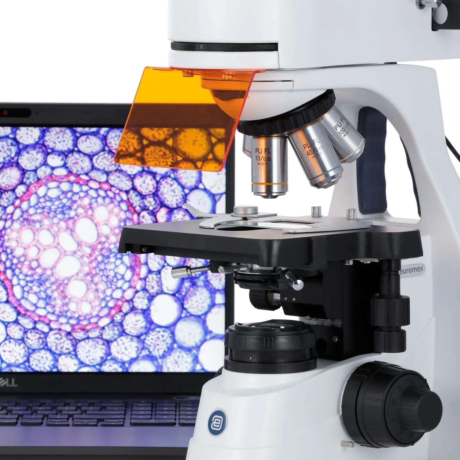 Euromex bScope Series Trinocular Compound Microscope 40X-1000X Magnification with Epi-Fluorescence (Blue, Green, Violet, and Ultra-violet) - Image 7