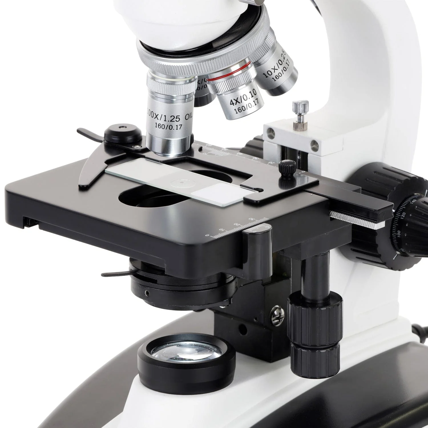 AmScope D130 Series Dual-view Monocular LED Student Compound Microscope with Mechanical Stage + 9.7" Touchscreen Imaging System - Image 3