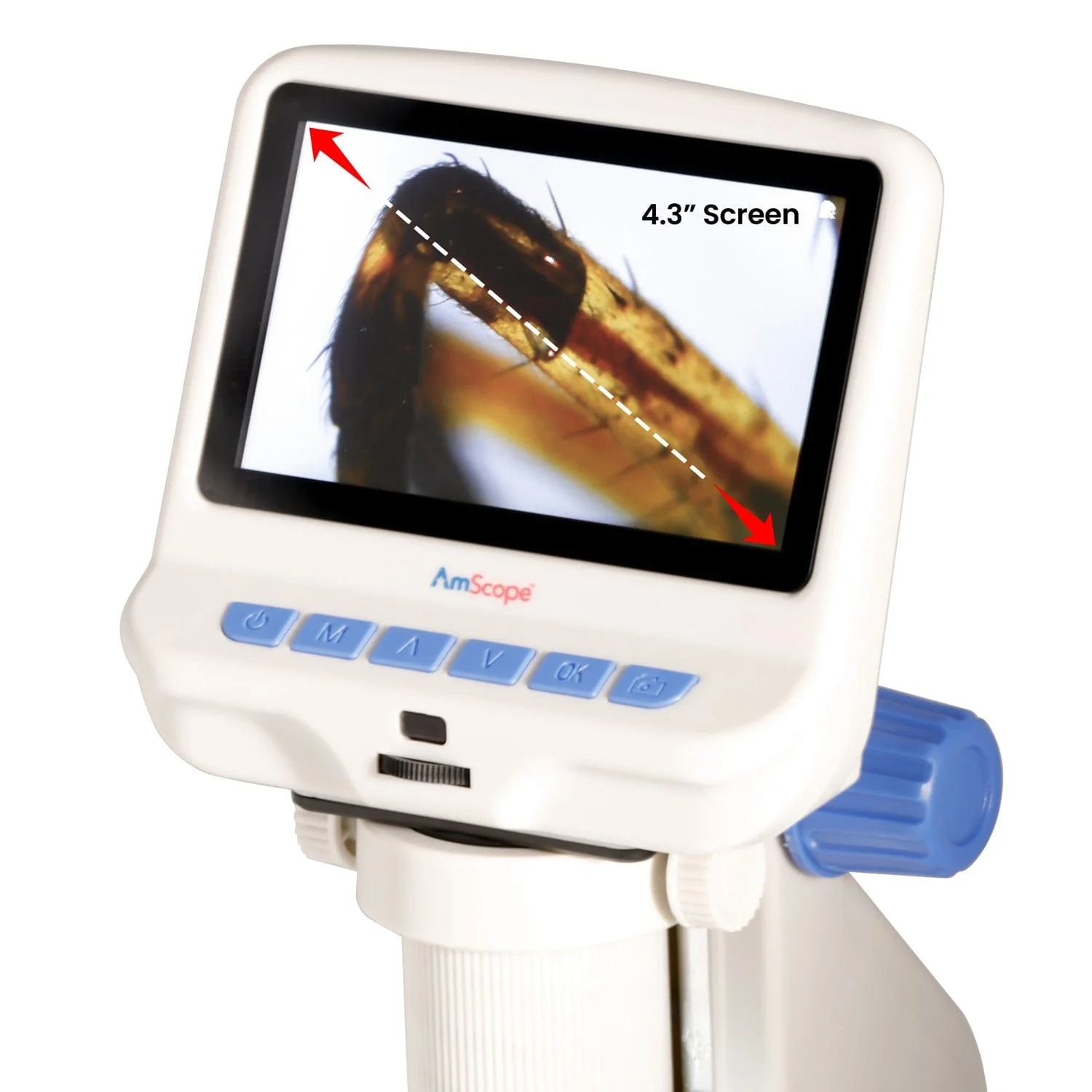 Amscope DM140 Digital Compound Microscope for Kids – Up to 220X Top & Bottom LED Illumination LCD Screen, Photo & Video Capture, STEM Learning - Image 8