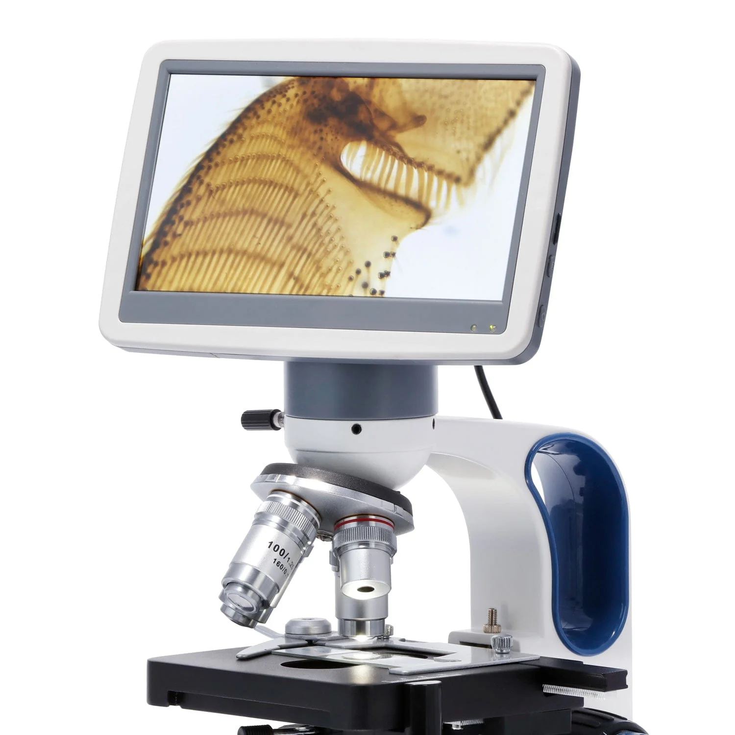 AmScope DM Series 7" Digital Microscope Screen Head for B120/B120C-R/B270 Compound Microscopes - Image 2