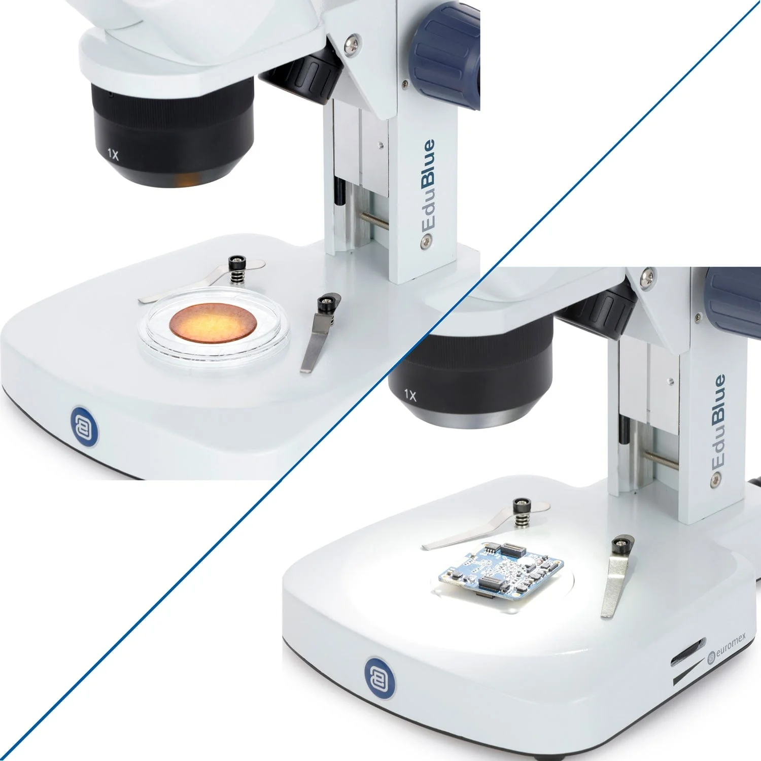 Euromex EduBlue Series Binocular Stereo Microscope 10X-30X Magnification with with 1X/3X Objective Lenses on Dual Illumination Track Stand - Image 3