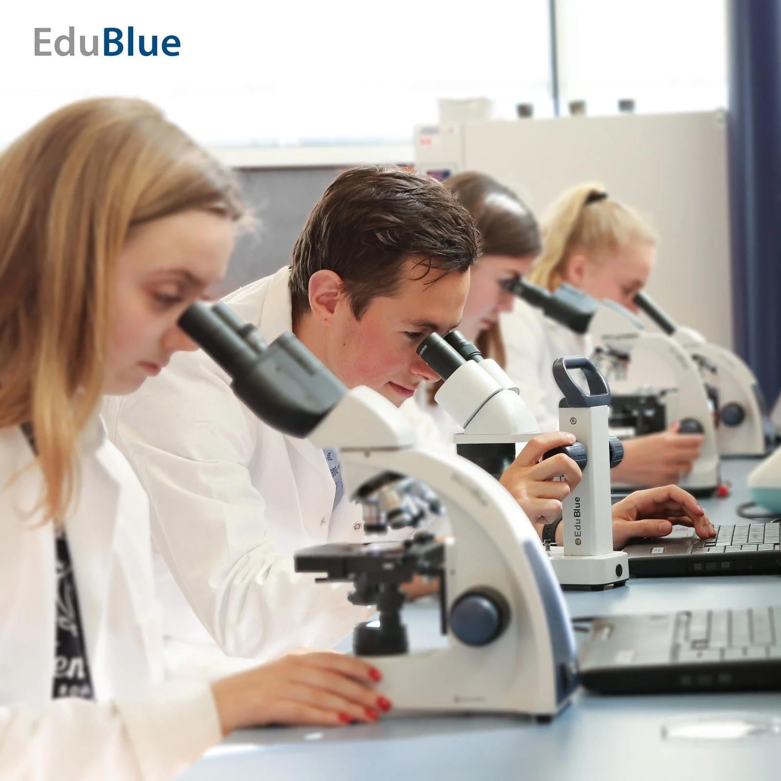 Euromex EduBlue Series Portable Binocular Stereo Microscope on Pillar Stand - Image 3