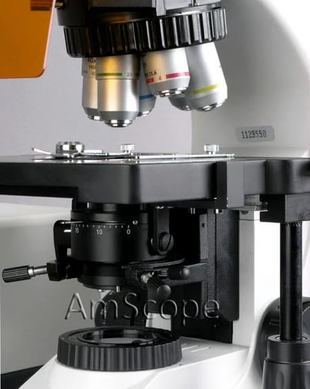 AmScope FM800 Series 30W Infinity Plan Extreme Widefield EPI-Fluorescent Trinocular Compound Microscope with Five Wave Bands and Optional Digital Camera - Image 5
