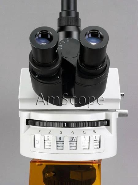 AmScope FM800 Series Epi-fluorescence Trinocular Compound Microscope - Image 5