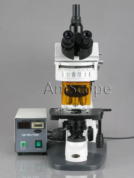 AmScope FM820 Series Epi-fluorescence Trinocular Compound Microscope with Optional Cooled Color Camera - Image 3
