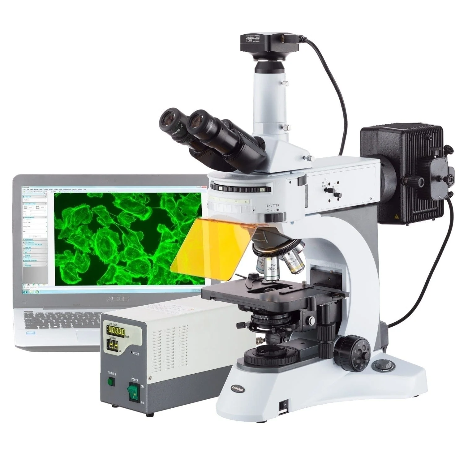 AmScope FM820 Series Upright EPI-Fluorescence Trinocular Compound Microscope with Rotating Multi-Filter Turret and Ultra-Sensitive Camera Option