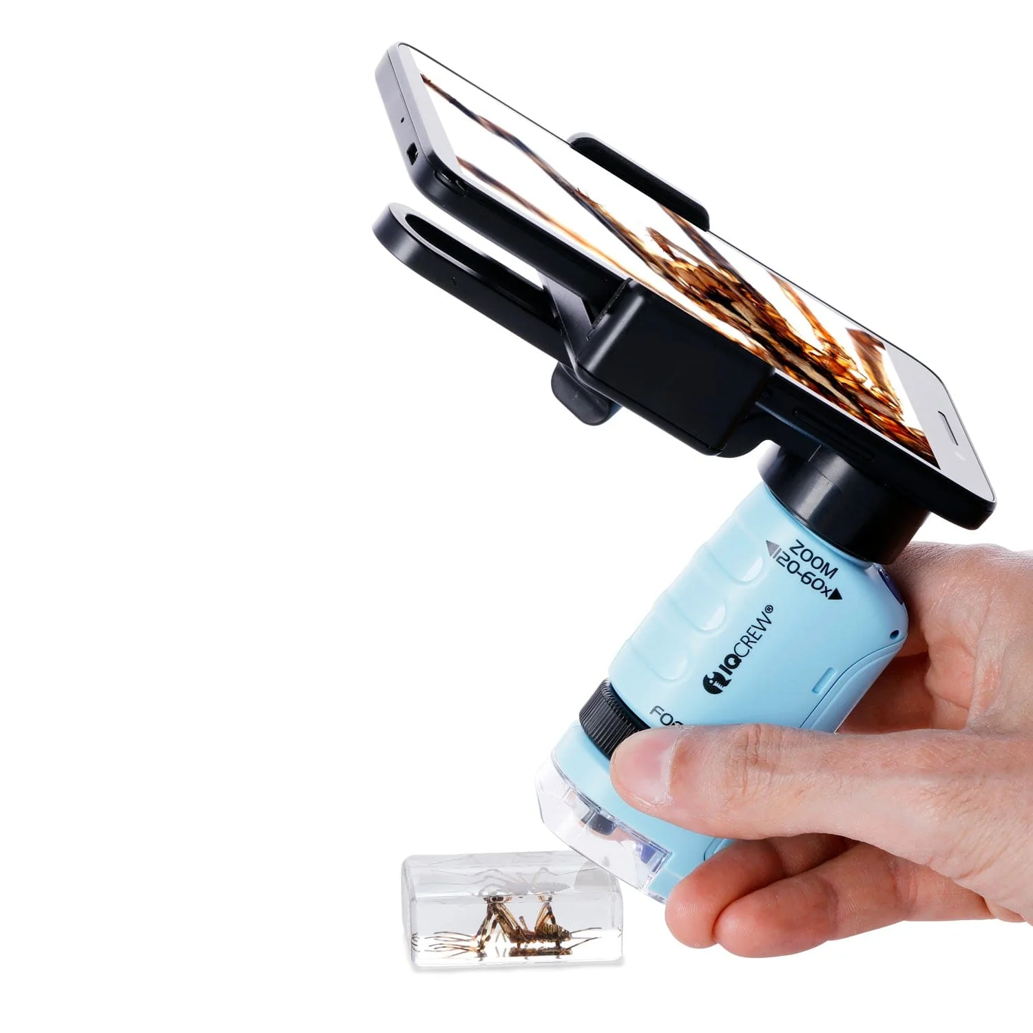 Amscope HH612 Handheld Digital Compound Microscope for Kids – 20X–600X LED Illumination LCD Screen, Photo & Video Capture, STEM Learning - Image 5