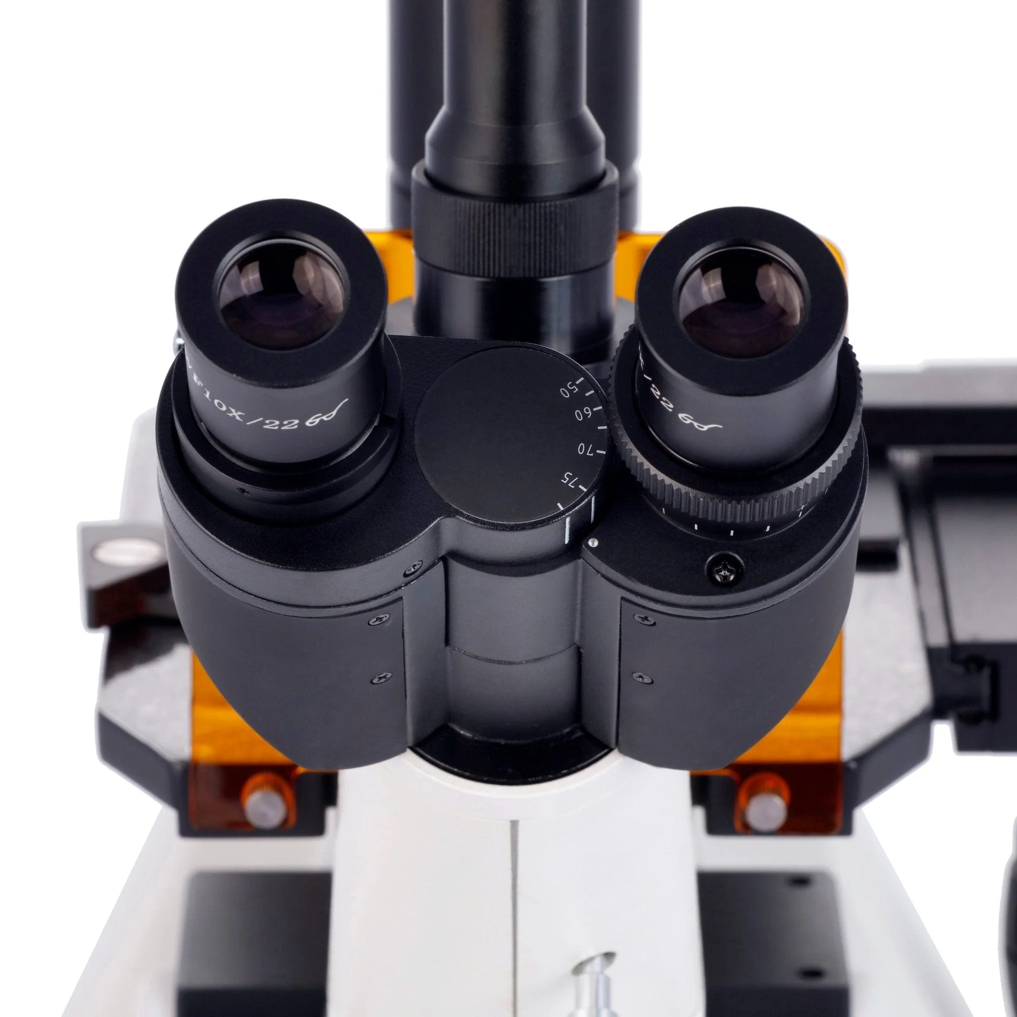 AmScope IN300 Series Inverted Epi-fluorescence Trinocular Compound Microscope with Optional Global Shutter Camera - Image 8